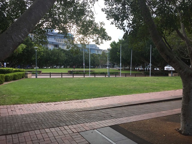 Open grassed area surrounded by trees.