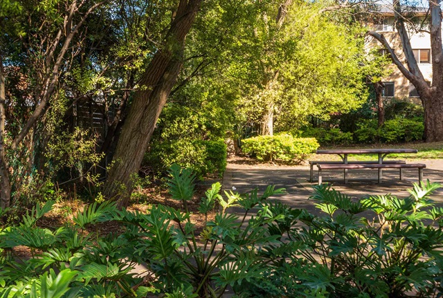 A sunny park scene featuring a picnic table surrounded by lush green trees, perfect for a relaxing day outdoors.