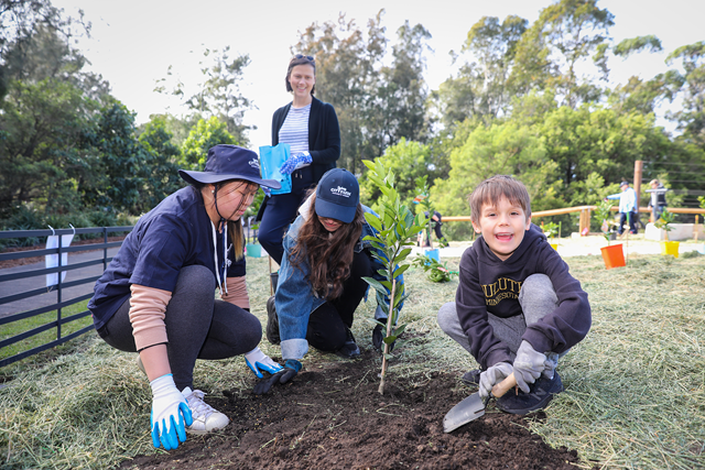 Sydney City Farm - City of Sydney