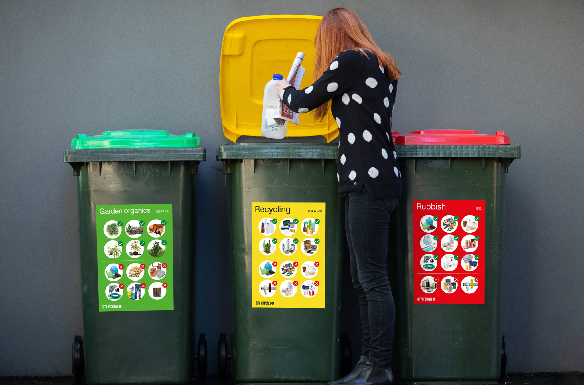 What goes in your bin - City Services
