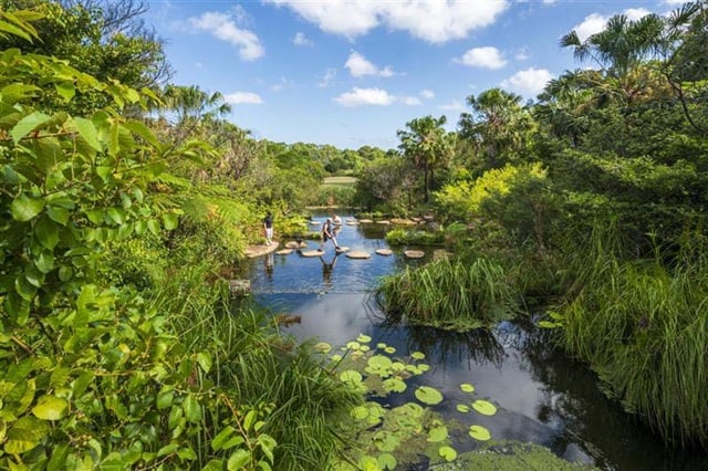 People crossing stepping stones over a pond surrounded by dense greenery and palm trees under a blue sky with clouds.